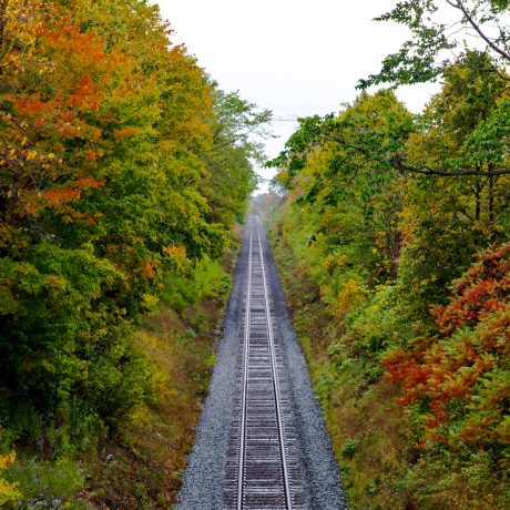 Toronto photographer